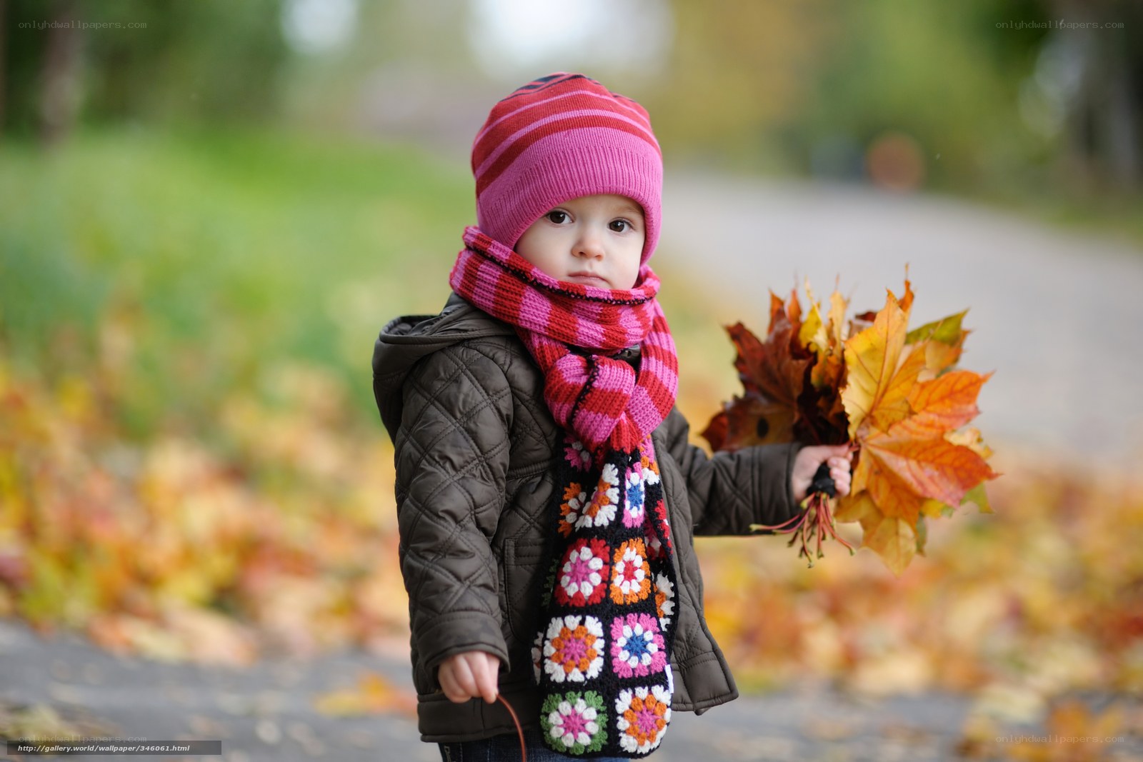 child holding autumn leaves
