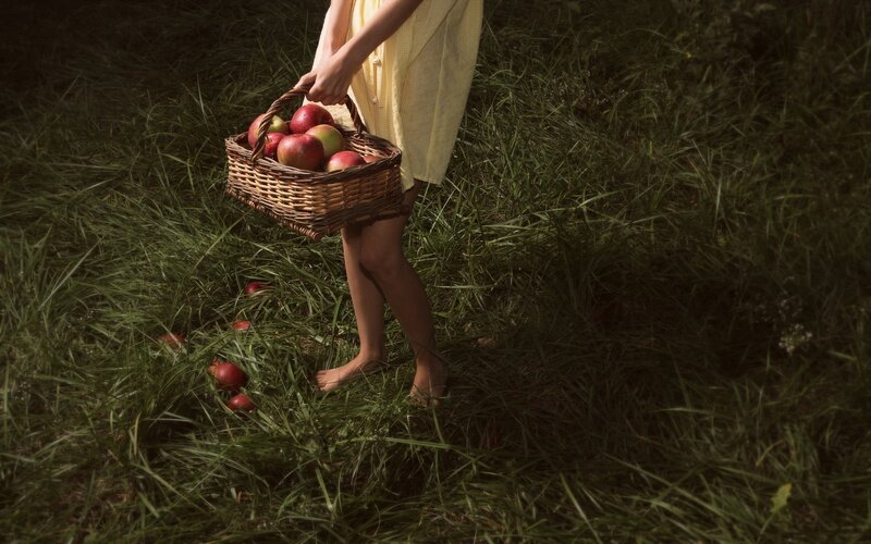Child holding basket of apples