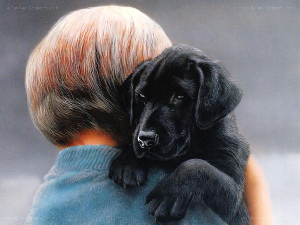child holding black puppy