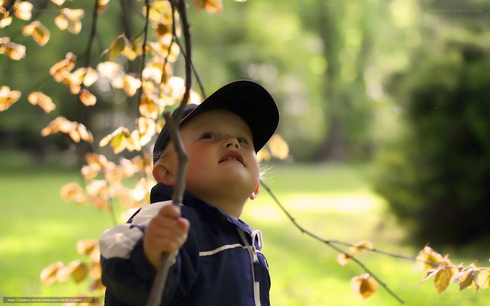 child holding branch in park
