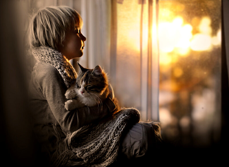 Child Holding Cat — Brown, Serene, Sunset
