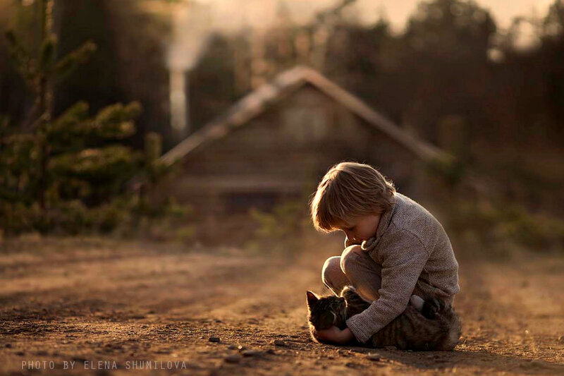 Child Holding Cat — Brown, Serene
