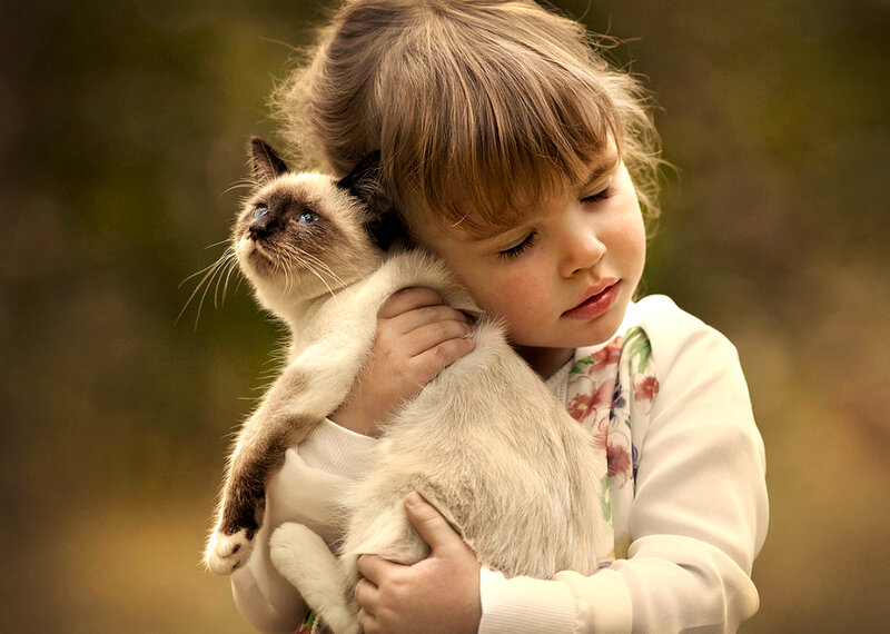 Child Holding Cat — White