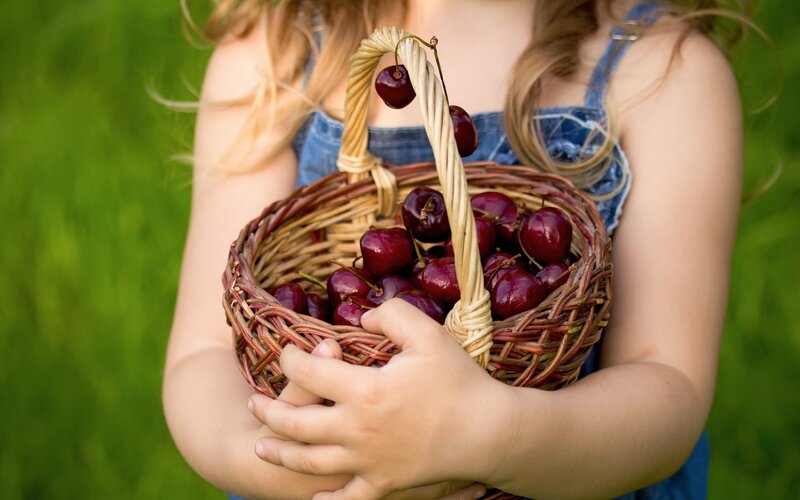 child holding cherry basket
