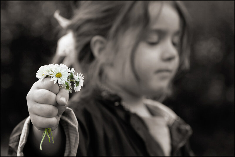Child Holding Daisies — Black