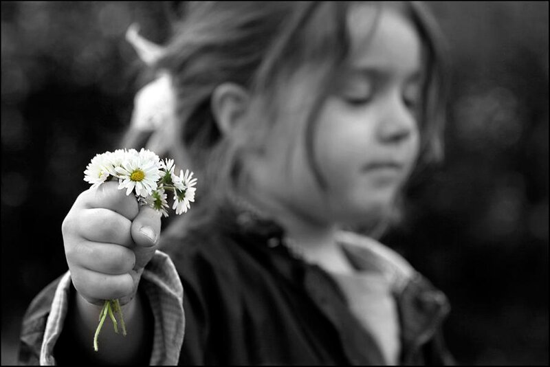 Child Holding Daisies — White, Peaceful