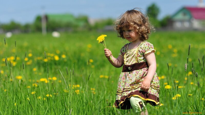 Child Holding Dandelion — Green, Serene