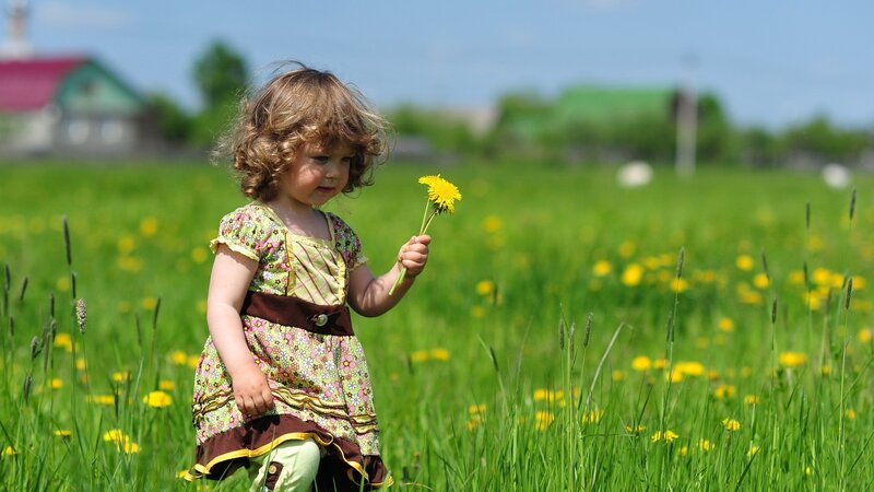Child Holding Dandelion — Green