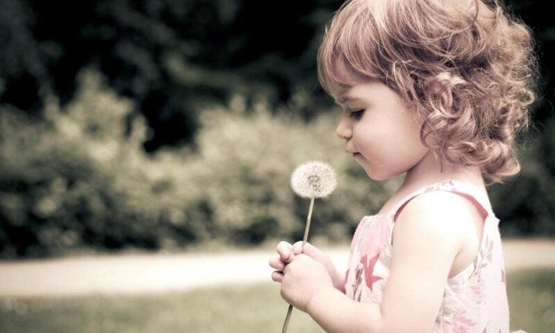 Child Holding Dandelion — Pink