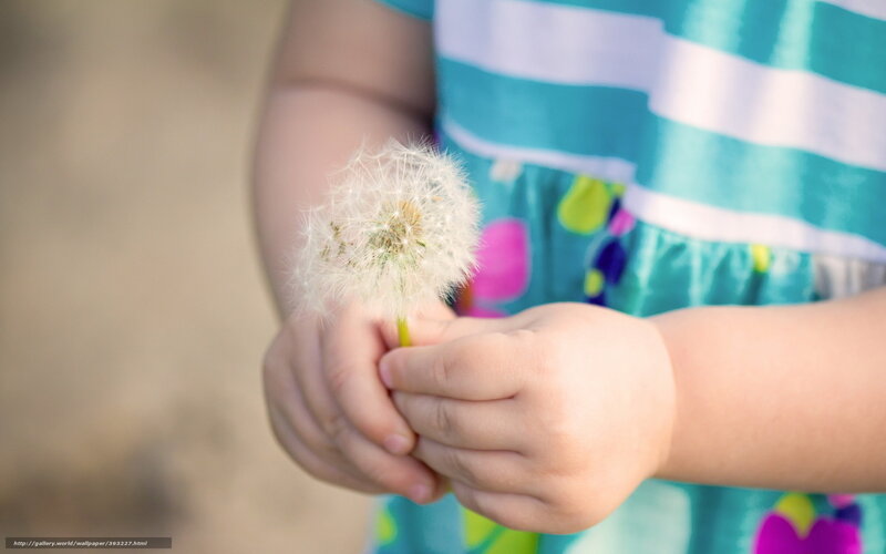 Child Holding Dandelion — Teal