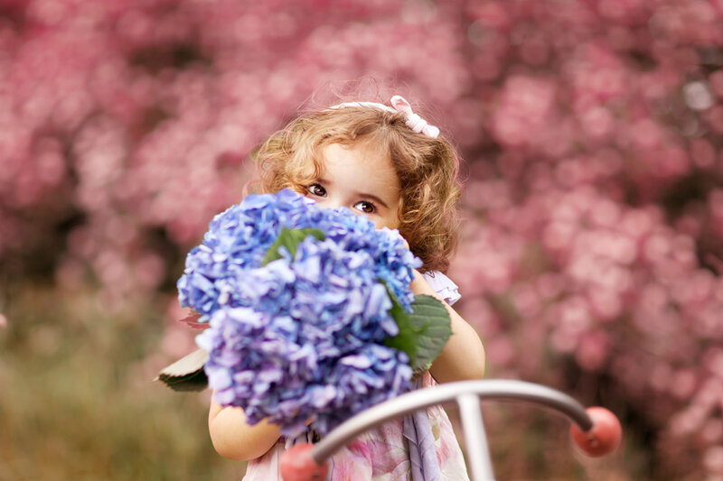 Child Holding Hydrangea