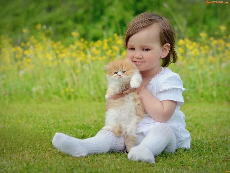 Child Holding Kitten — Green, Serene, Spring