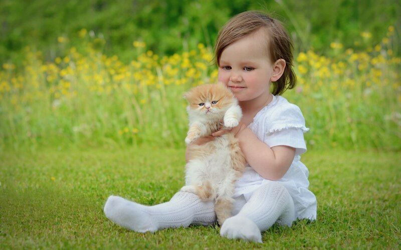 Child Holding Kitten — Green, Serene