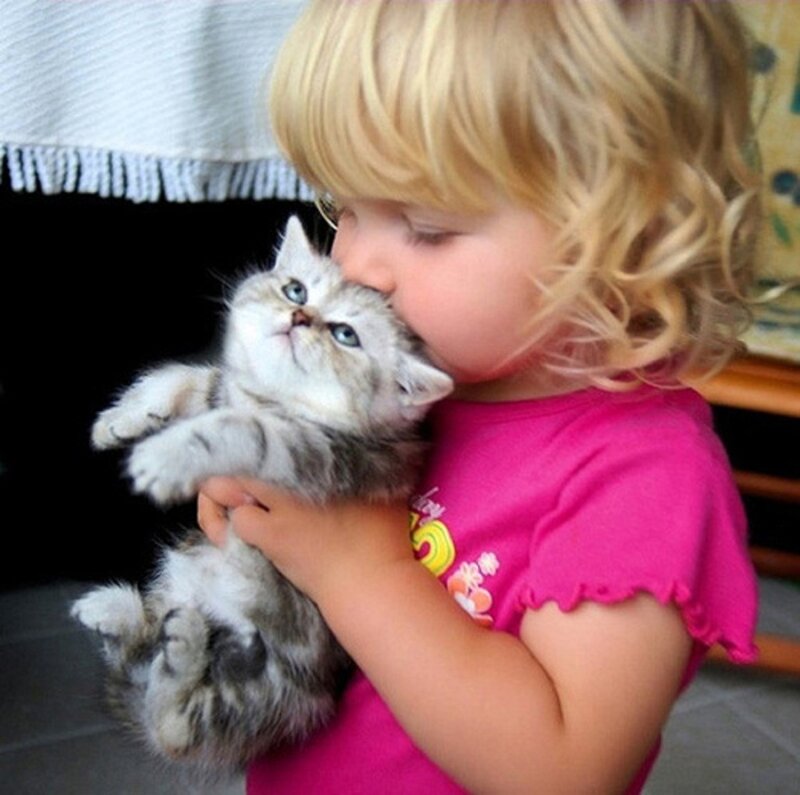 Child Holding Kitten — Pink, Affectionate
