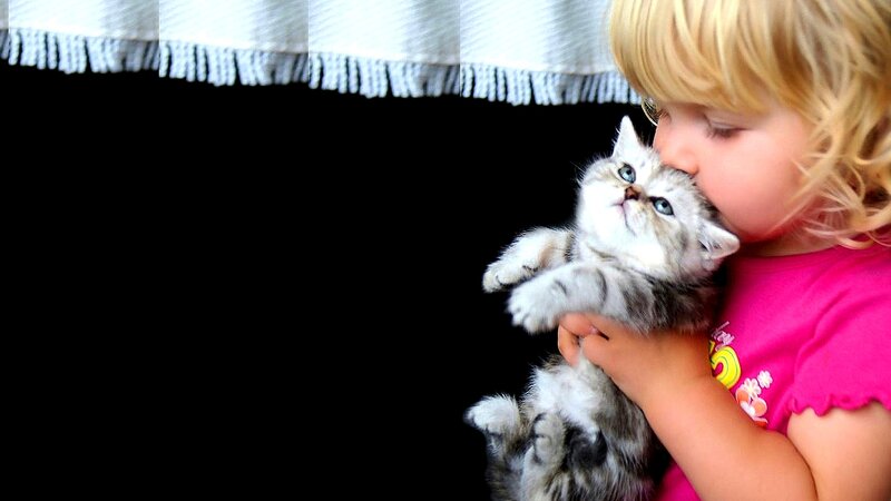 Child Holding Kitten — Pink