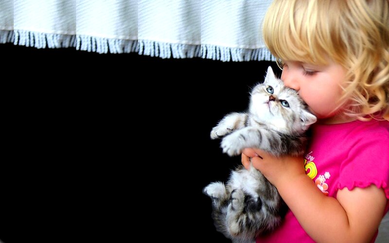 Child Holding Kitten