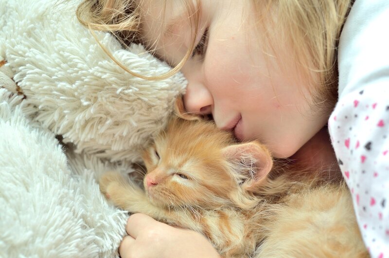 Child Holding Kitten — White