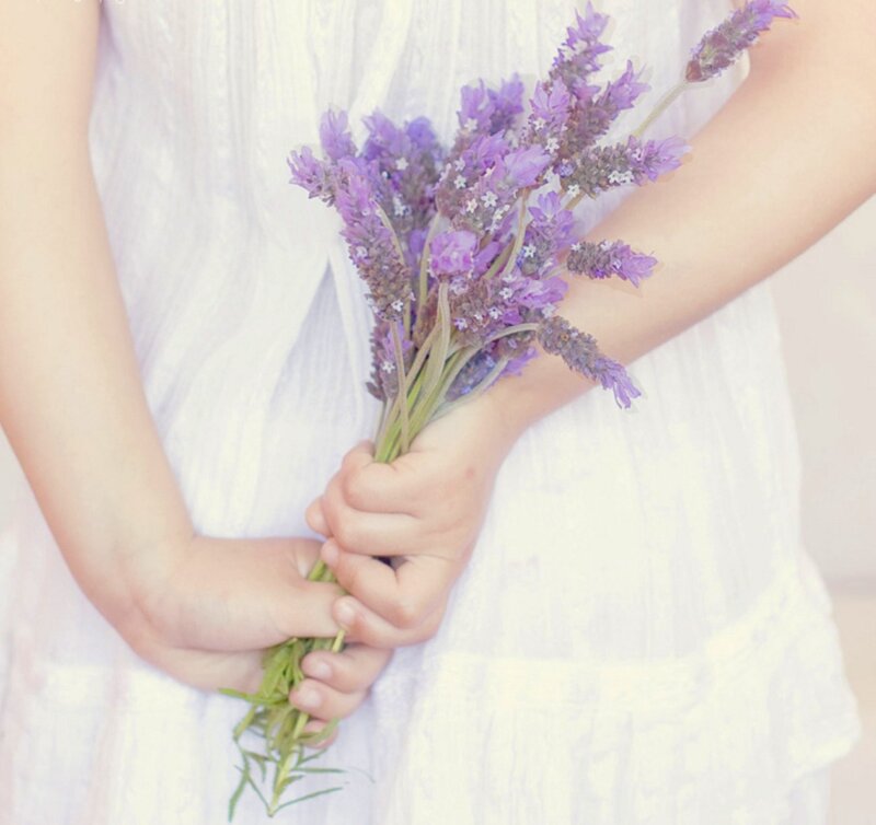 Child Holding Lavender