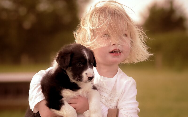 Child Holding Puppy — Brown