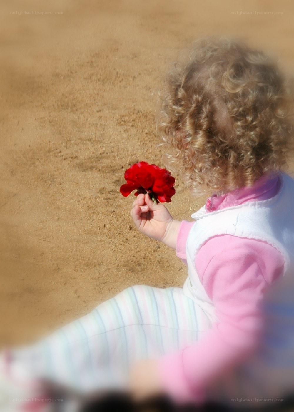 child holding red flower