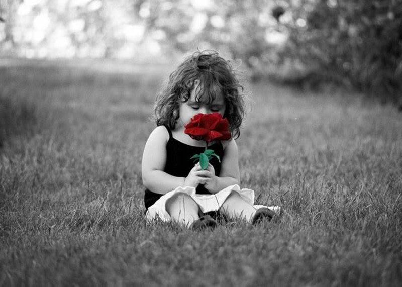 Child Holding Red Rose