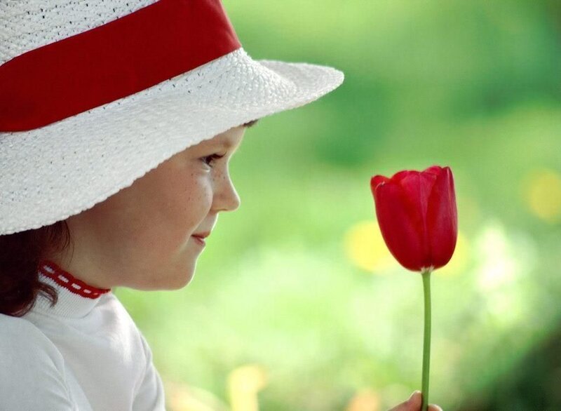 Child Holding Red Tulip