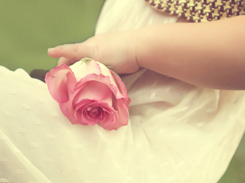 Child Holding Rose — Pink