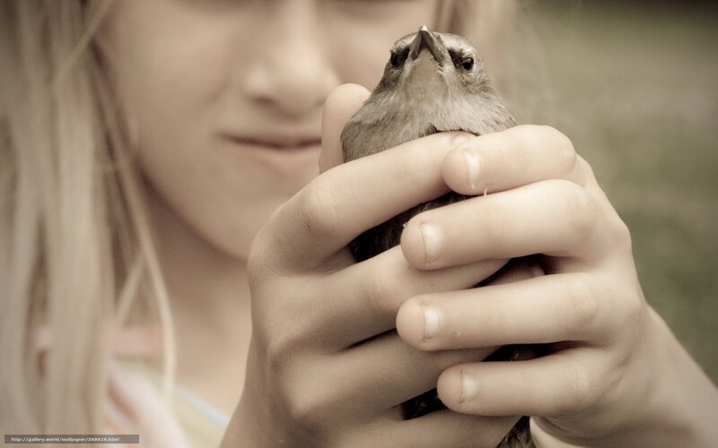 child holding small bird
