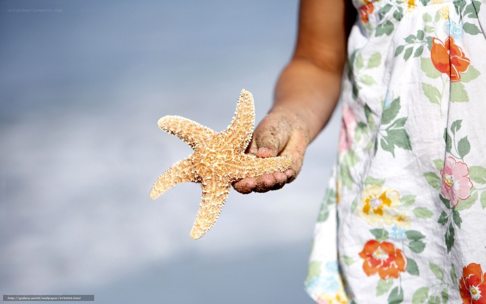 child holding starfish at beach