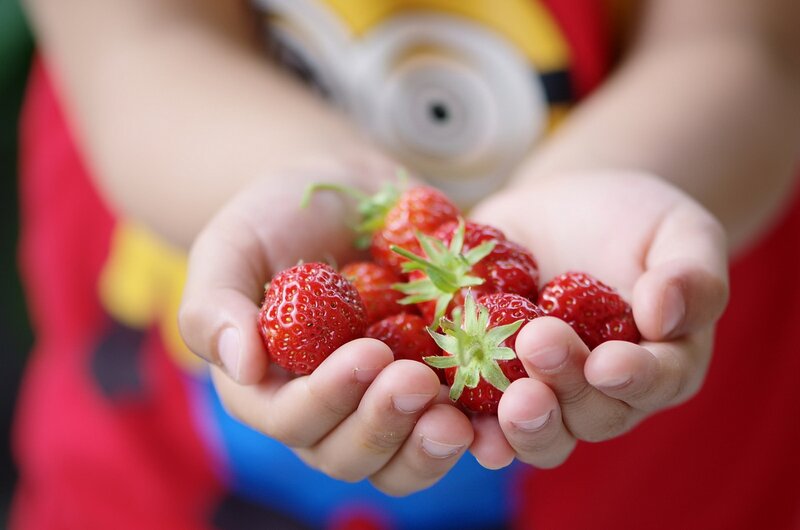 Child Holding Strawberries