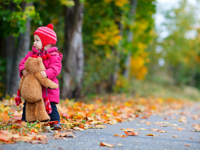 Child Holding Teddy Bear — Brown, Calm