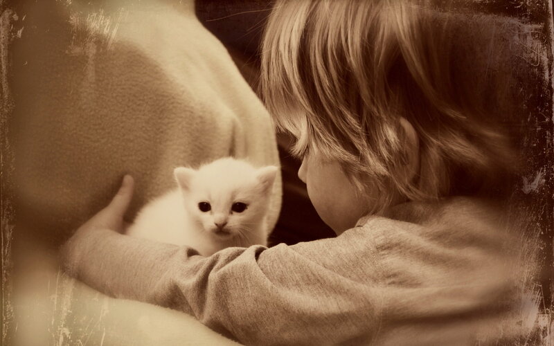 Child Holding White Kitten — Sepia