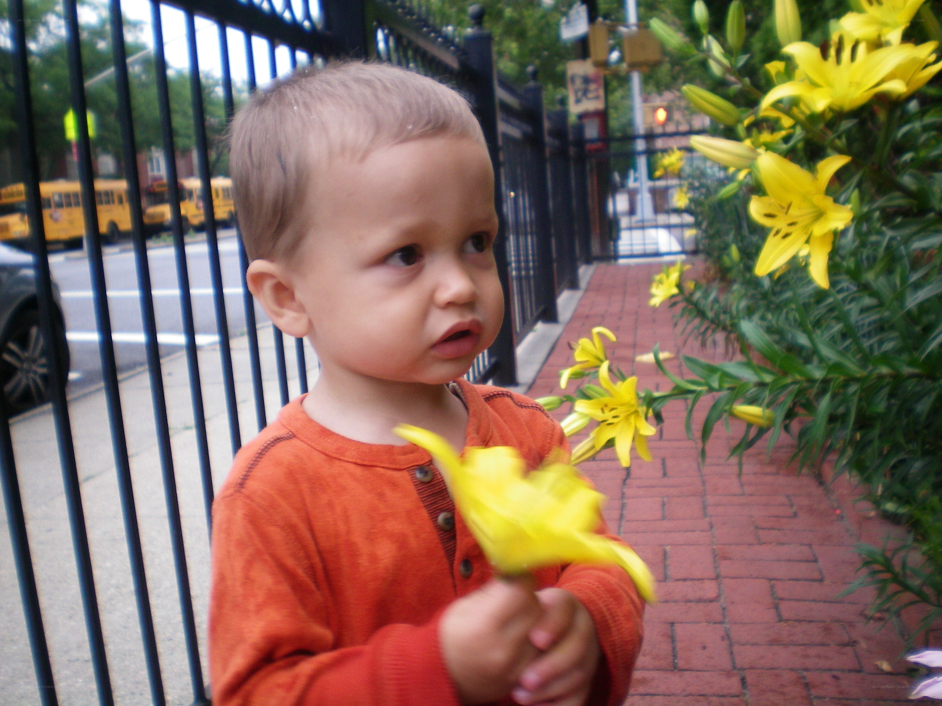 child holding yellow flower
