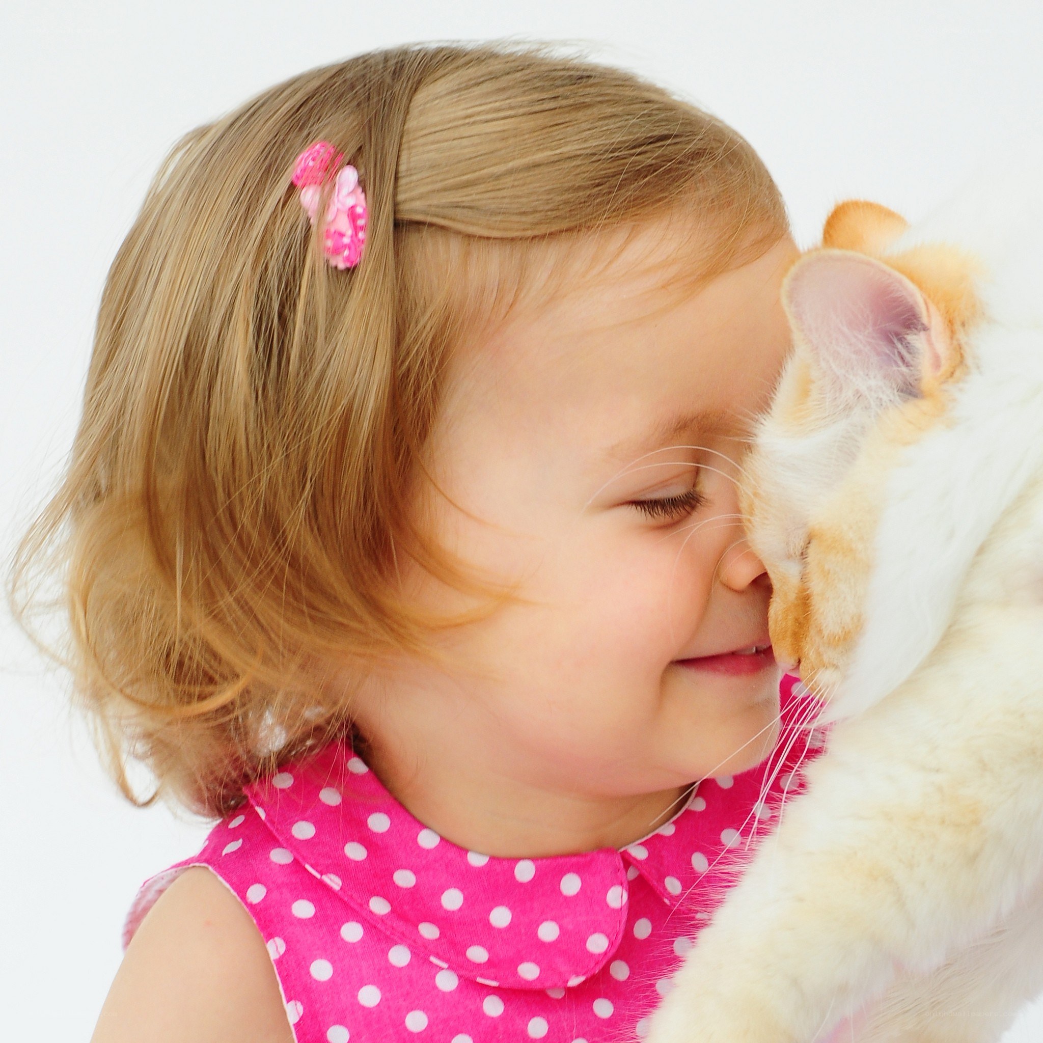 child hugging a cat