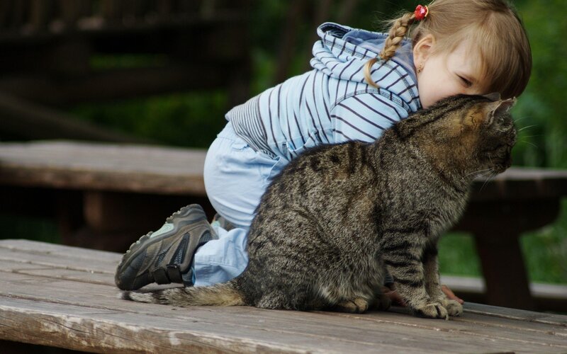 child hugging a cat