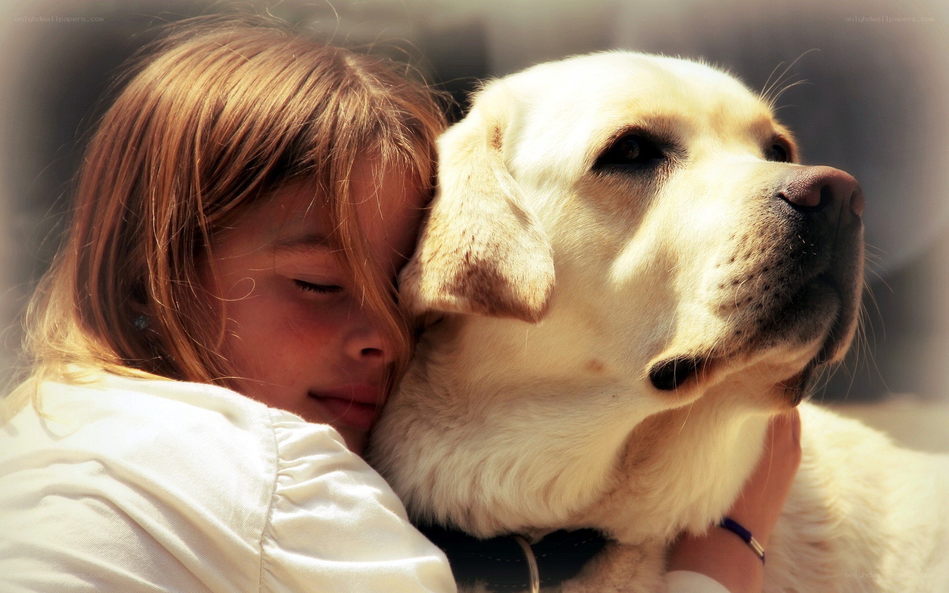 child hugging a dog
