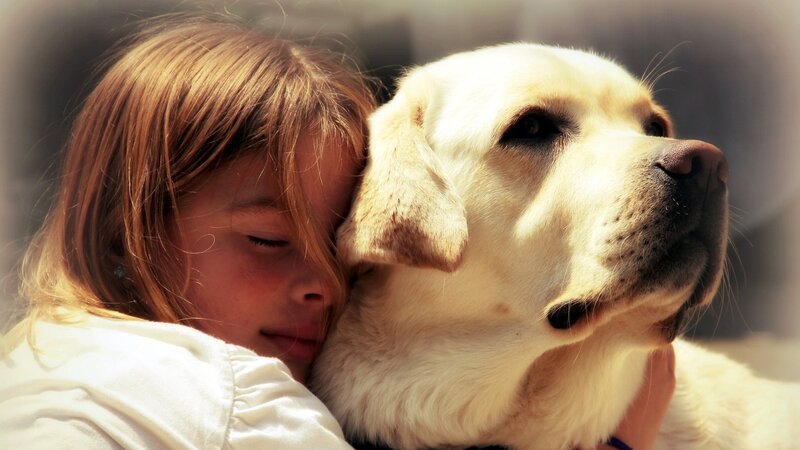 child hugging a dog