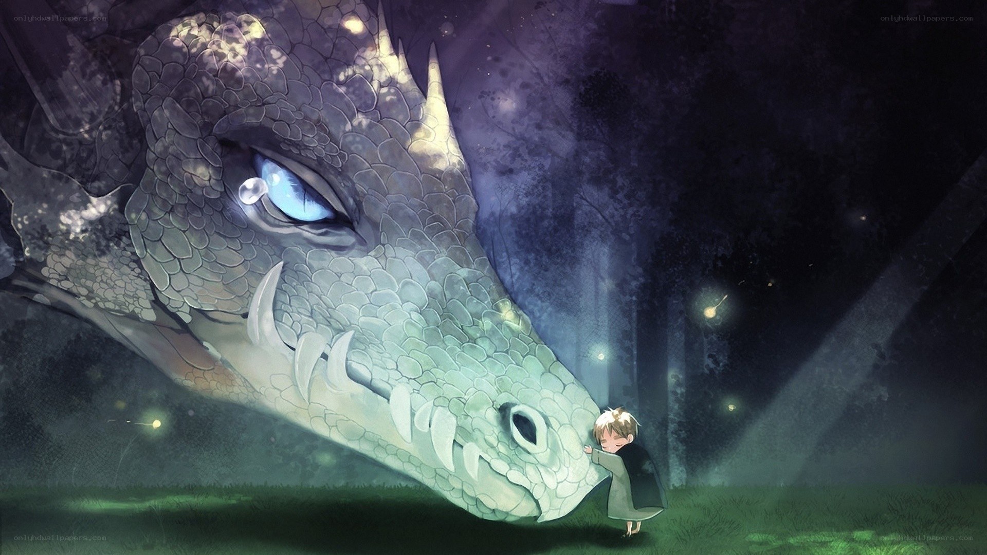 child hugging a sleeping dragon