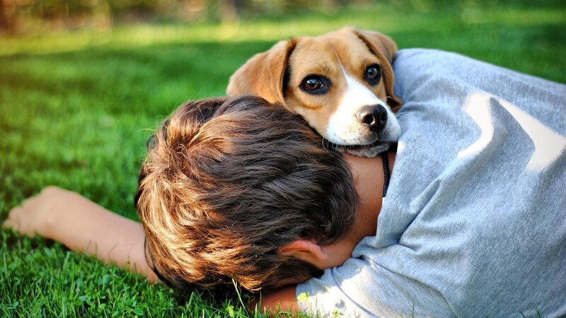 Child Hugging Beagle