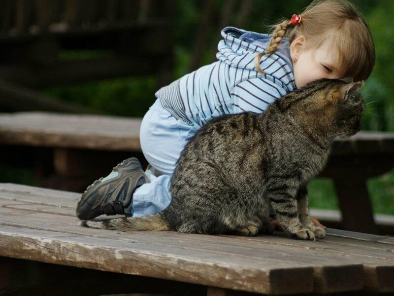 Child Hugging Cat — Brown