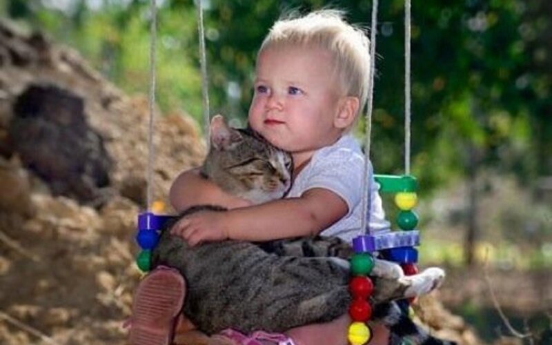 Child Hugging Cat — Green