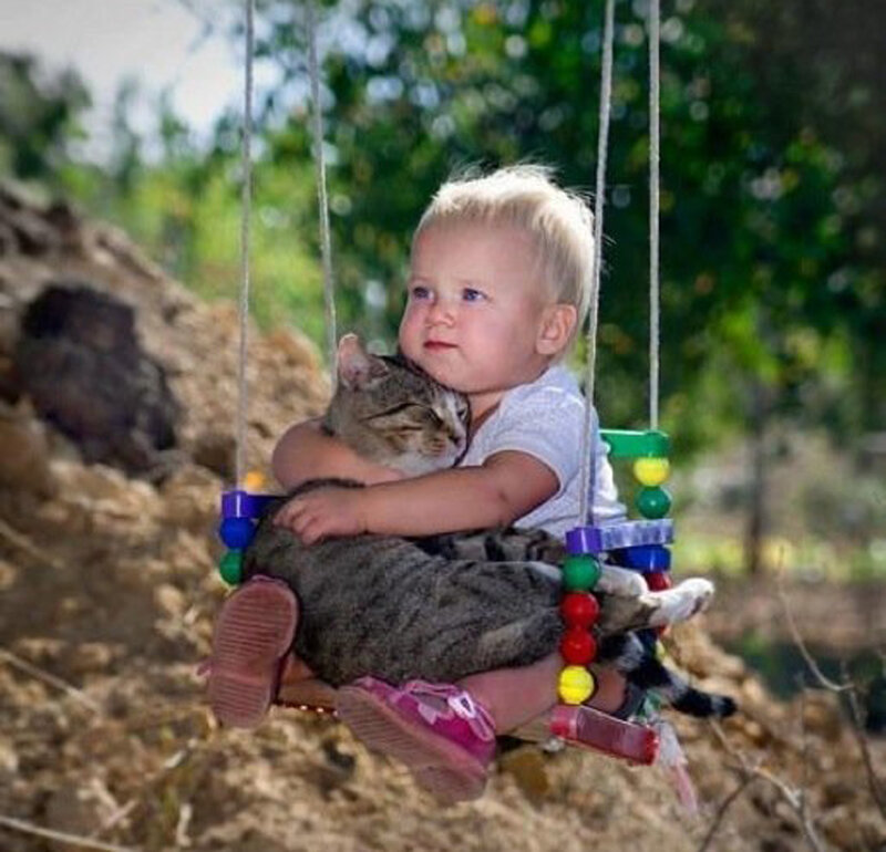 Child Hugging Cat on Swing