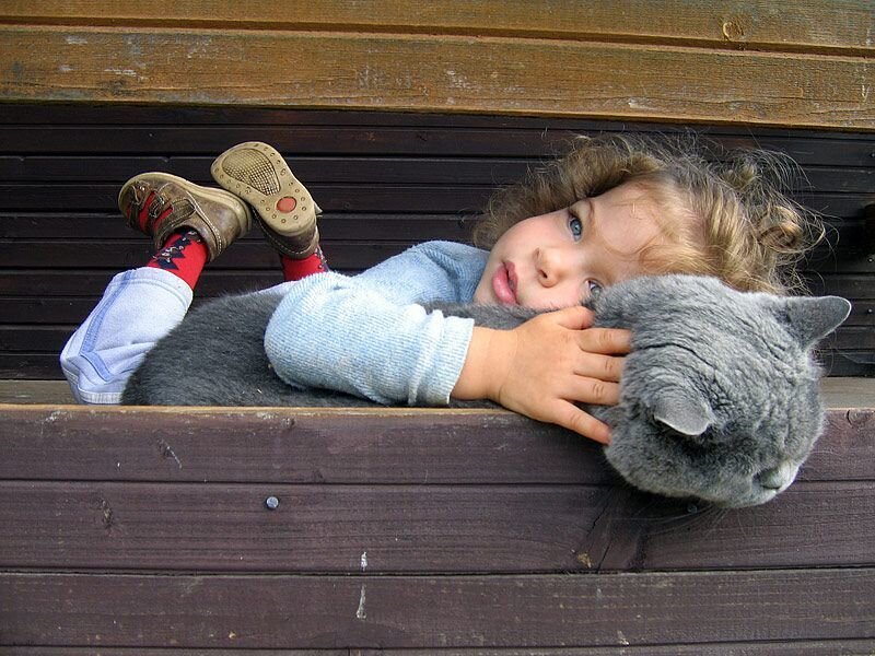 Child Hugging Cat