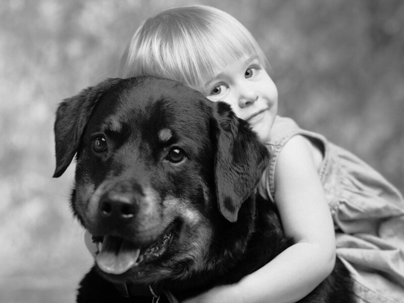 Child Hugging Dog — Black, Calm