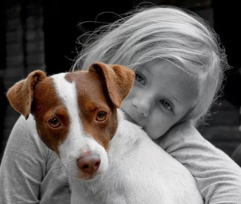 Child Hugging Dog — Brown, Calm