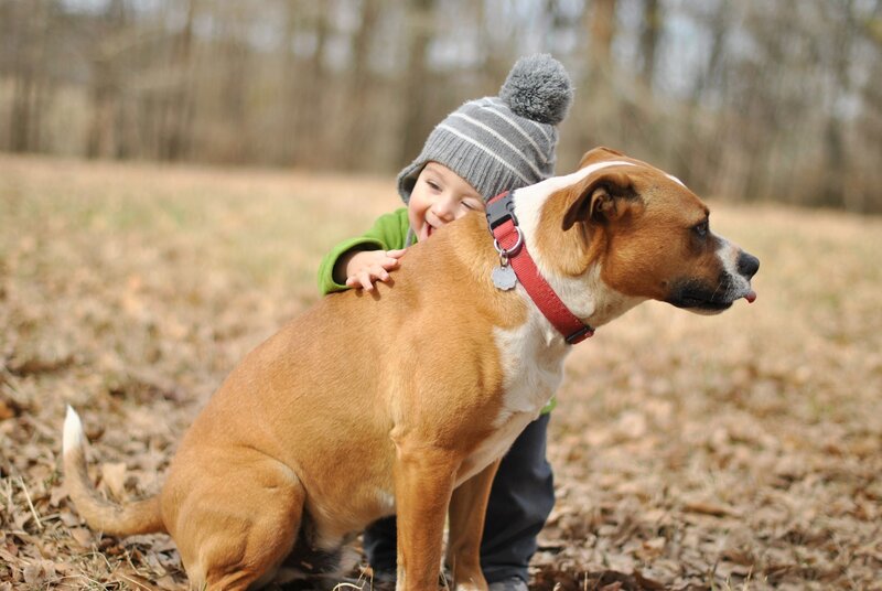 Child Hugging Dog — Brown, Playful, Autumn