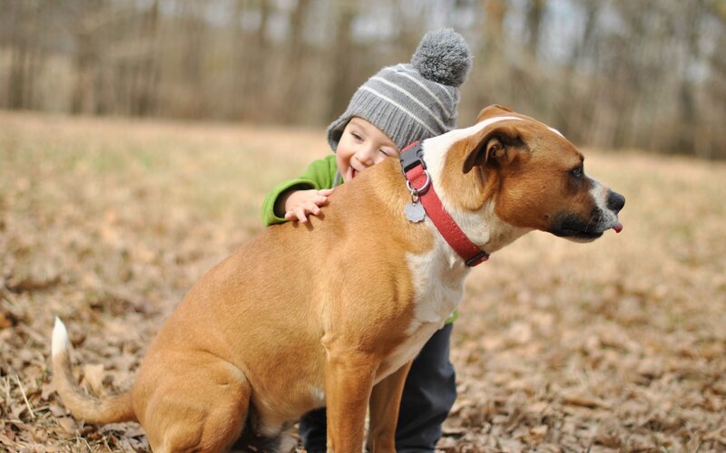Child Hugging Dog — Brown, Playful