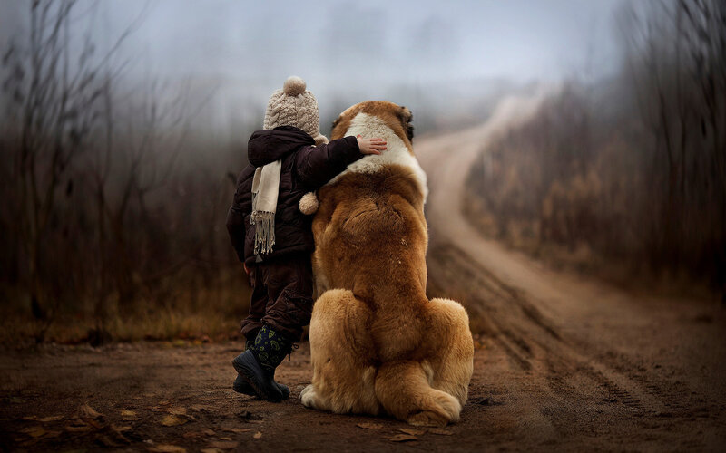 Child Hugging Dog — Brown, Serene, Winter