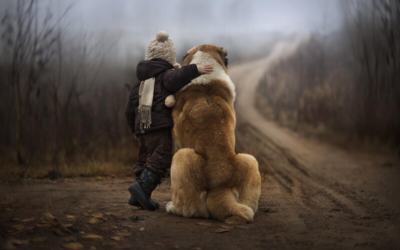 Child Hugging Dog — Brown, Somber, Autumn, Photograph, Path