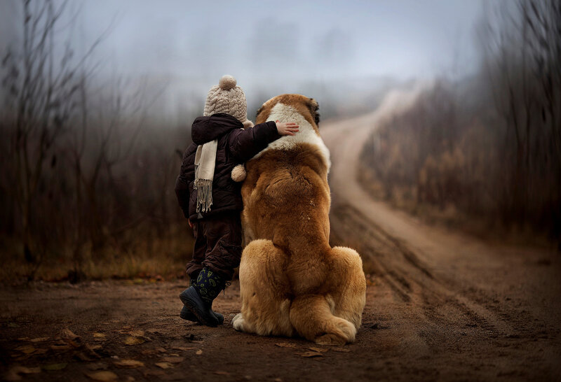 Child Hugging Dog — Brown, Somber, Autumn